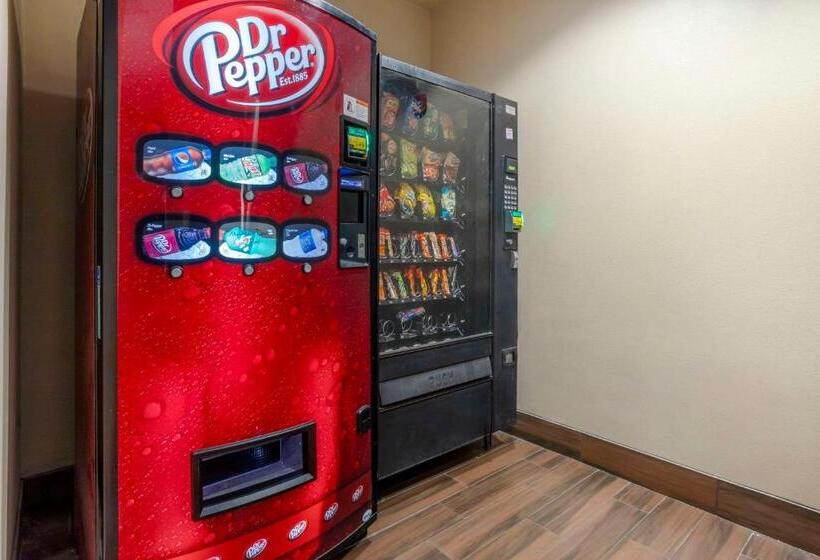 فندق Comfort Inn & Suites