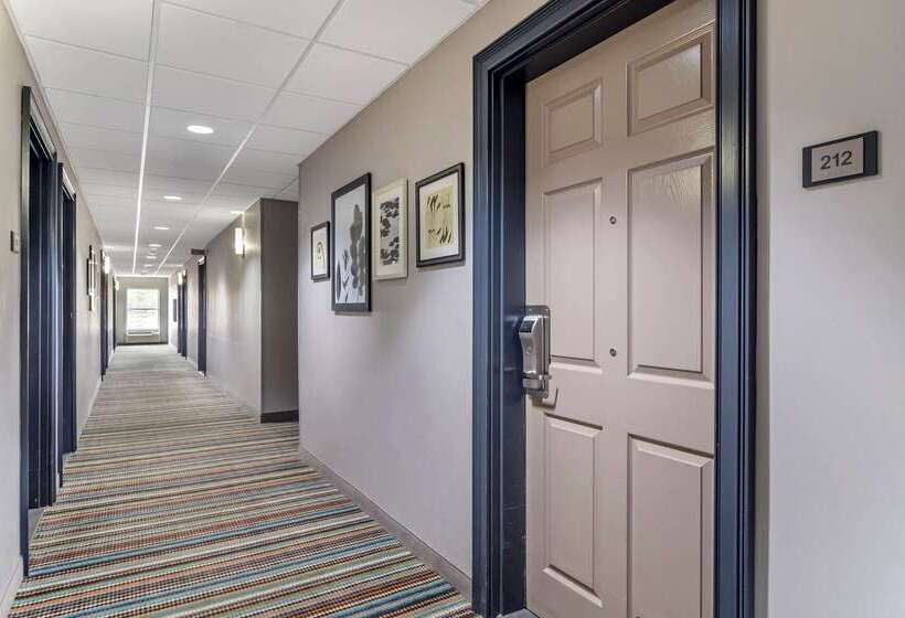 ホテル Comfort Inn & Suites Calhoun South