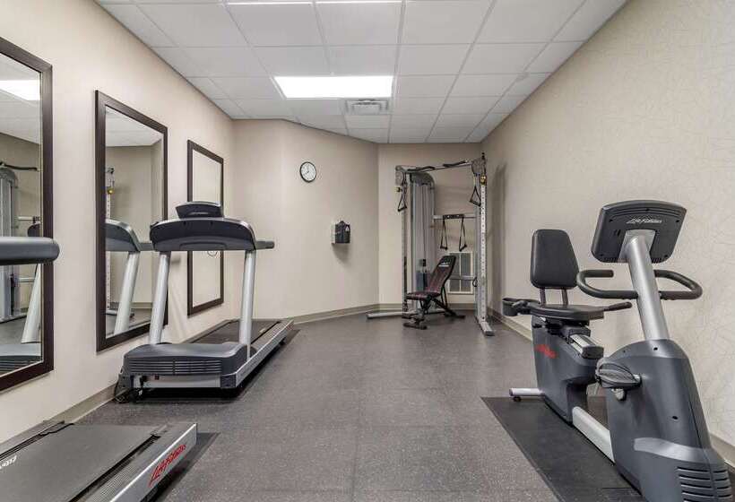 ホテル Comfort Inn & Suites Calhoun South