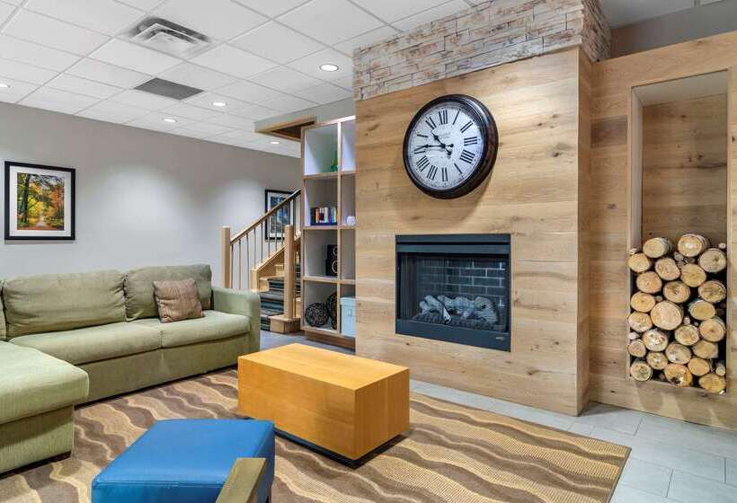 ホテル Comfort Inn & Suites Calhoun South