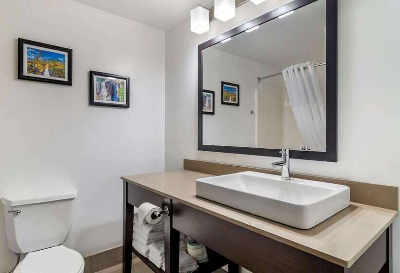 ホテル Comfort Inn & Suites Calhoun South