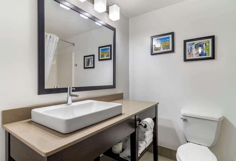 ホテル Comfort Inn & Suites Calhoun South