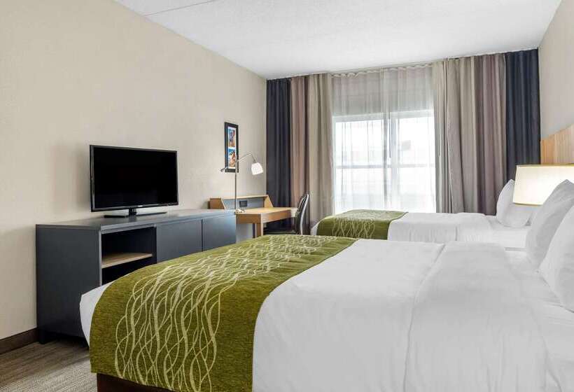 ホテル Comfort Inn & Suites Calhoun South