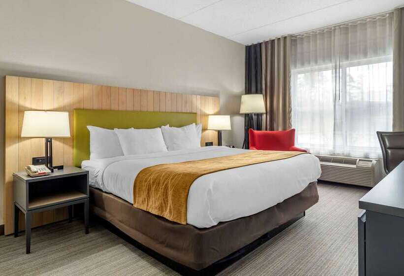 ホテル Comfort Inn & Suites Calhoun South