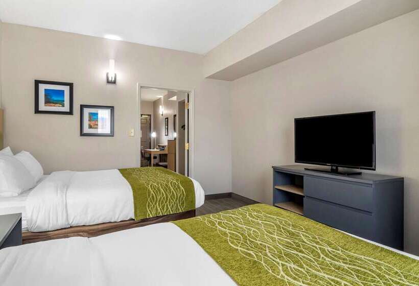 ホテル Comfort Inn & Suites Calhoun South