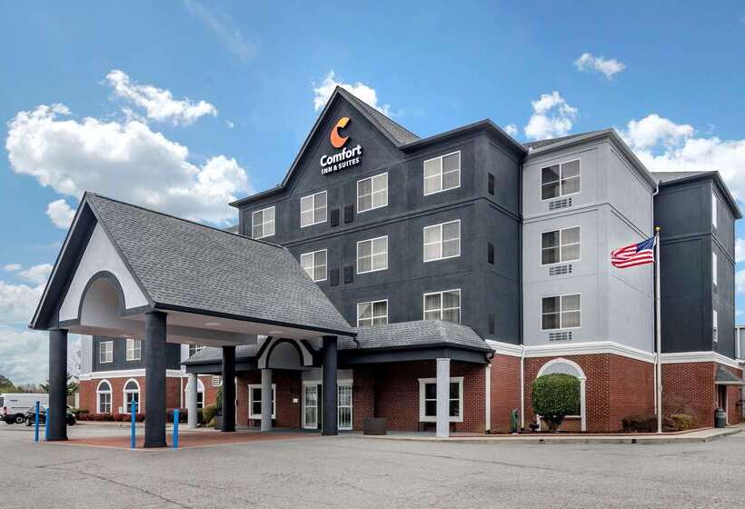 ホテル Comfort Inn & Suites Calhoun South