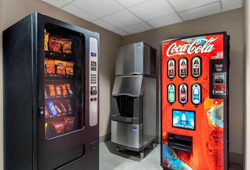 ホテル Comfort Inn & Suites Calhoun South