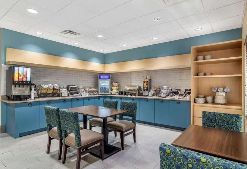 ホテル Comfort Inn & Suites Calhoun South