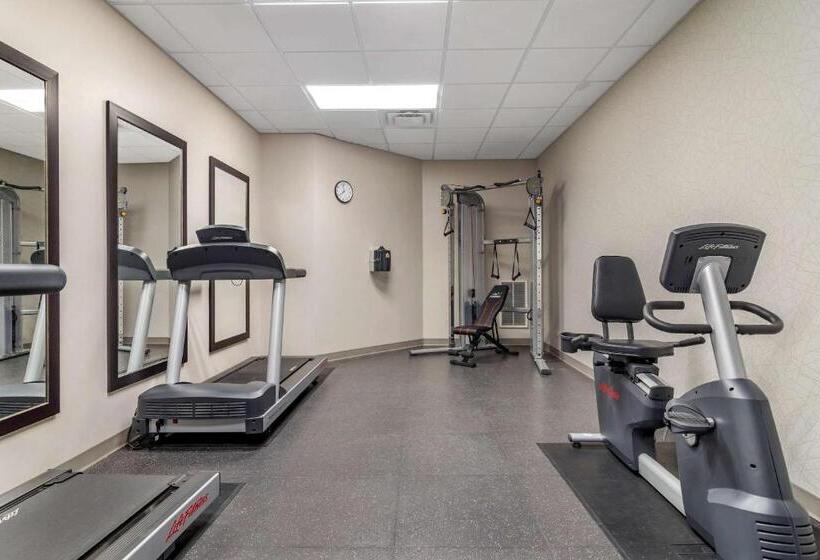 ホテル Comfort Inn & Suites Calhoun South