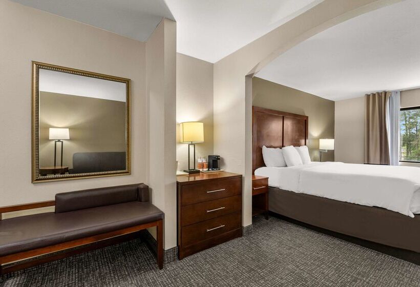 فندق Comfort Inn & Suites Chipley I10