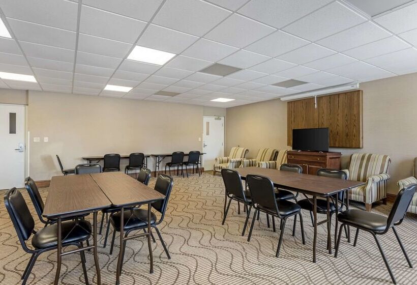 فندق Comfort Inn & Suites