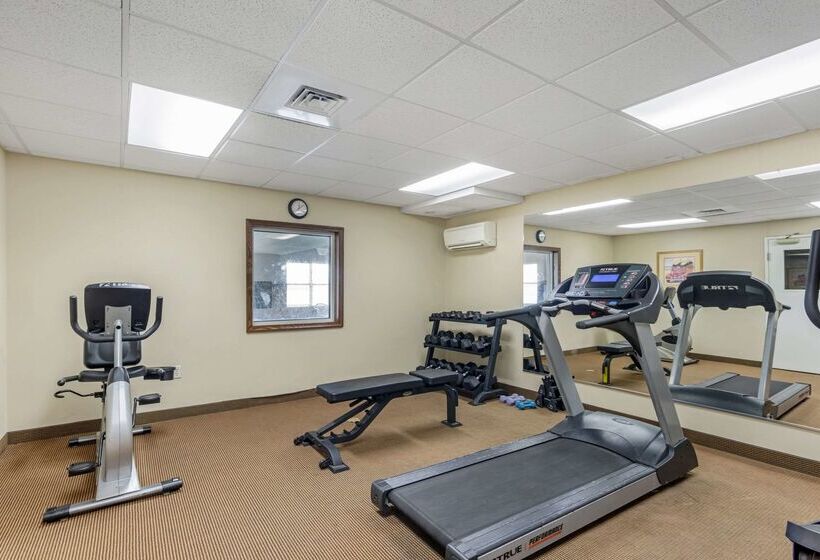 Отель Comfort Inn & Suites