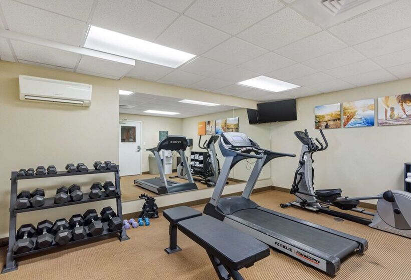 Отель Comfort Inn & Suites