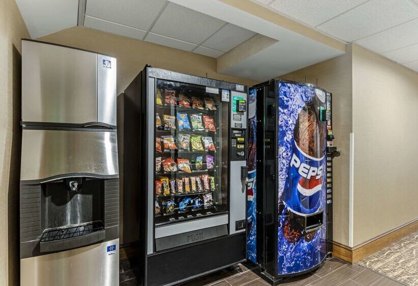 Отель Comfort Inn & Suites