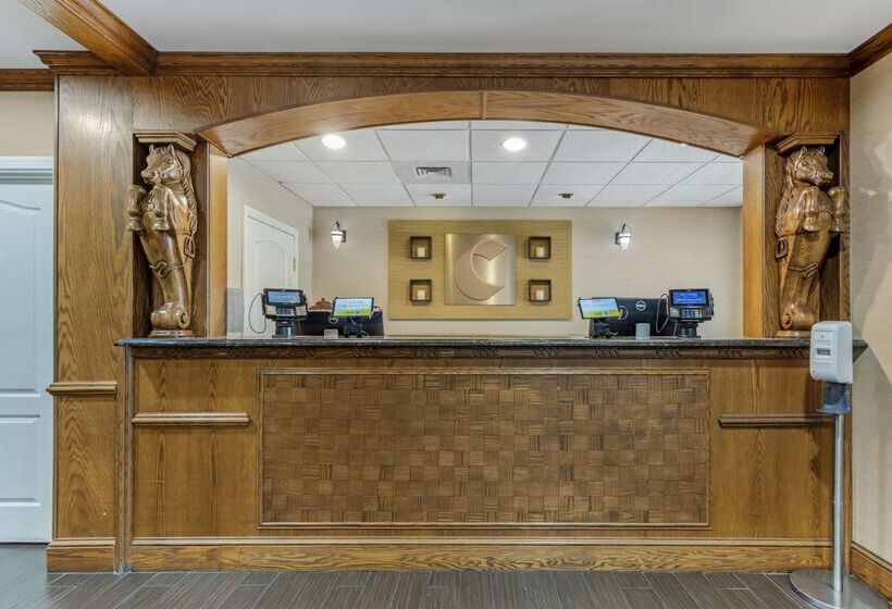 Отель Comfort Inn & Suites