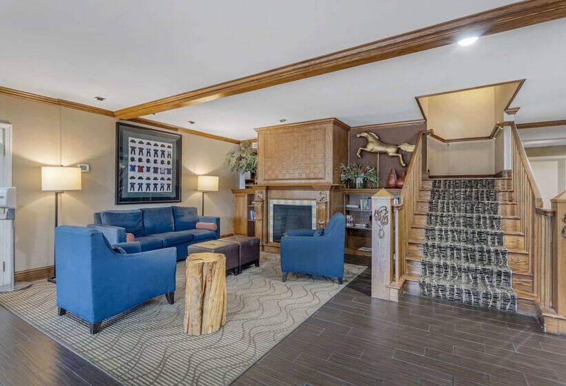 Отель Comfort Inn & Suites