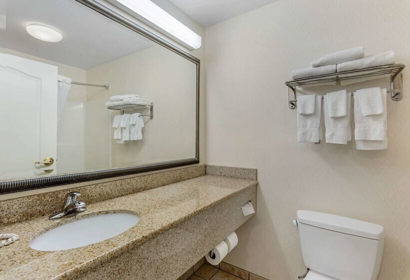 Отель Comfort Inn & Suites