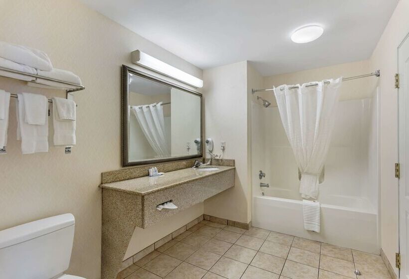 Отель Comfort Inn & Suites