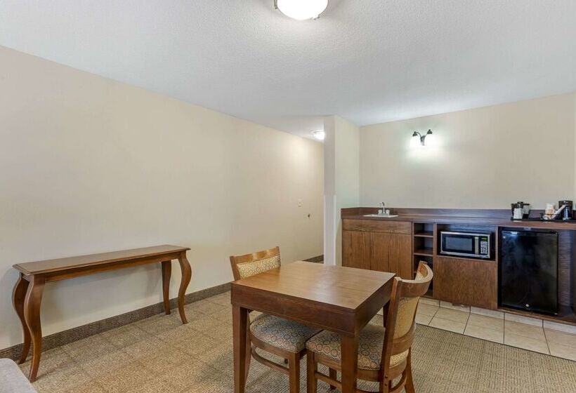 Отель Comfort Inn & Suites