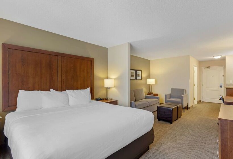 Отель Comfort Inn & Suites