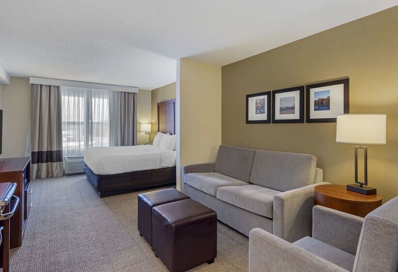 Отель Comfort Inn & Suites