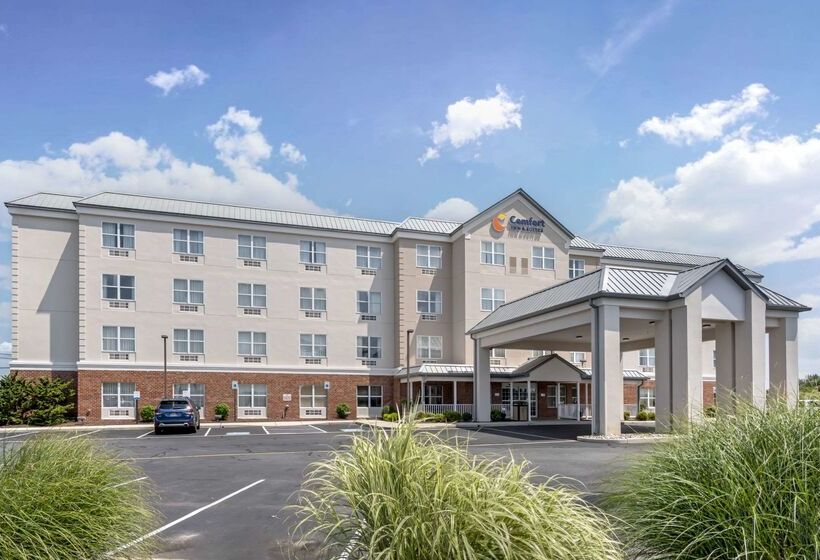 Отель Comfort Inn & Suites