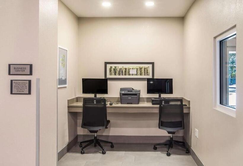 فندق Comfort Inn & Suites