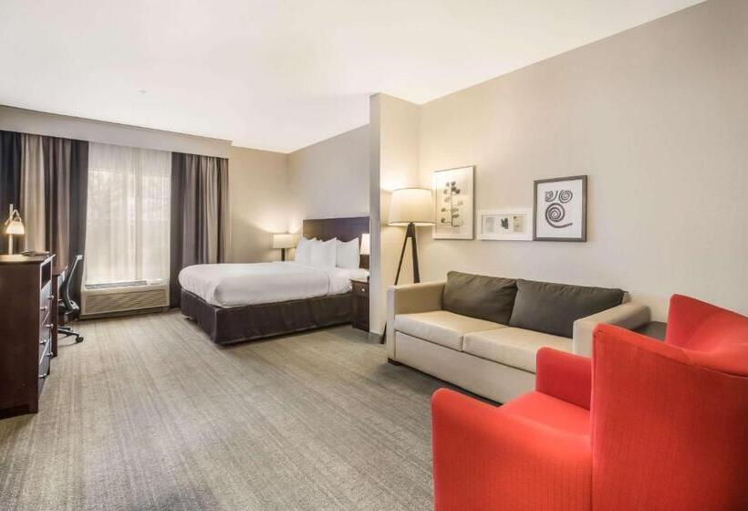 فندق Comfort Inn & Suites