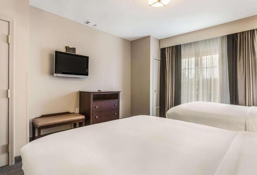 فندق Comfort Inn & Suites