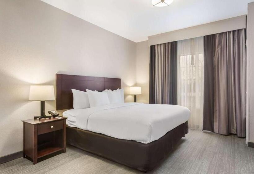 فندق Comfort Inn & Suites