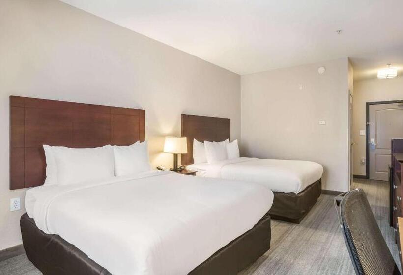 فندق Comfort Inn & Suites