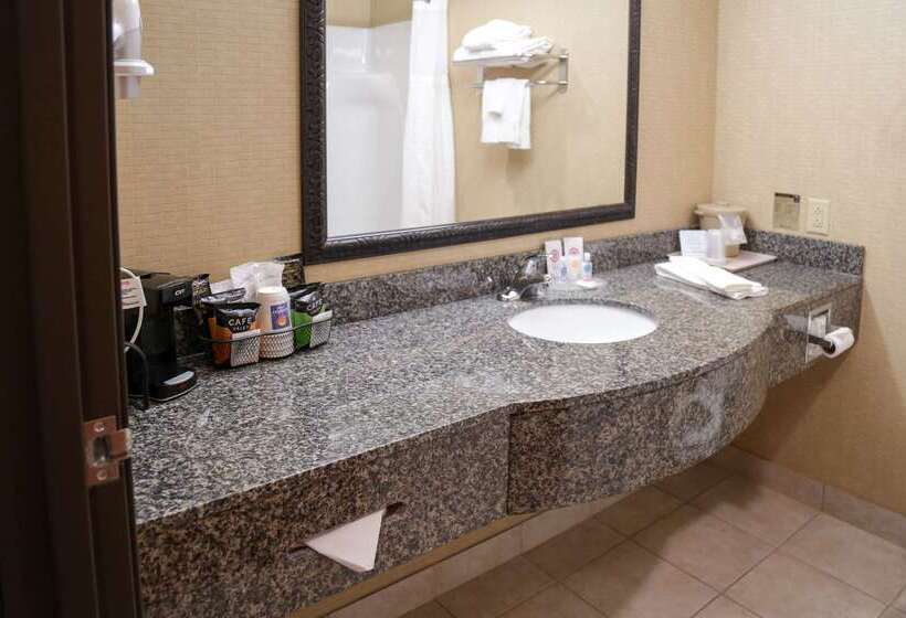 酒店 Comfort Inn & Suites Grinnell Near I80