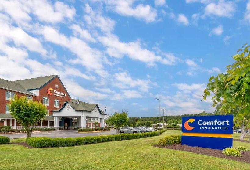 酒店 Comfort Inn & Suites Hampton Near Coliseum