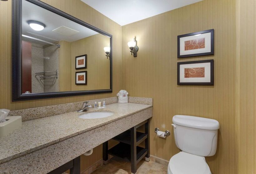 فندق Comfort Suites Kodak Sevierville