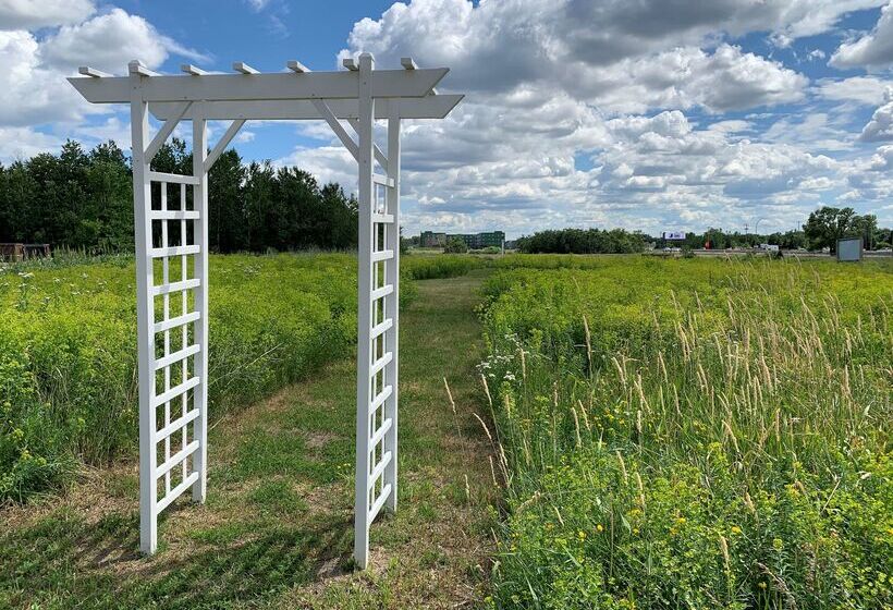 فندق Country Inn & Suites By Radisson, Shoreview, Mn