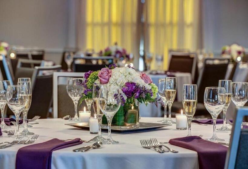 בית מלון כפרי Courtyard By Marriott Hadley Amherst