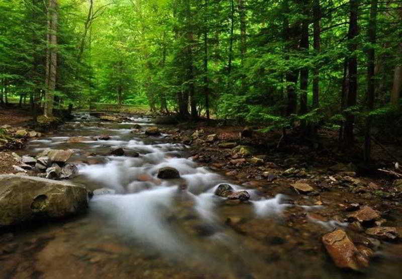 فندق Courtyard Pittsburgh Greensburg