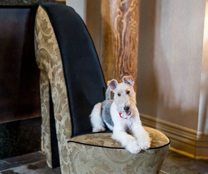 Craddock Terry Hotel, Lynchburg, A Tribute Portfolio