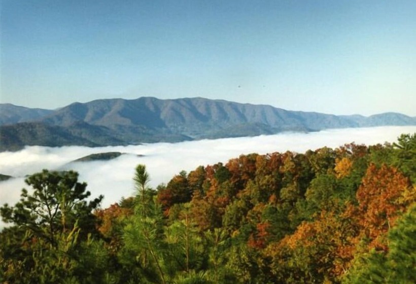 فندق Dancing Bear Lodge