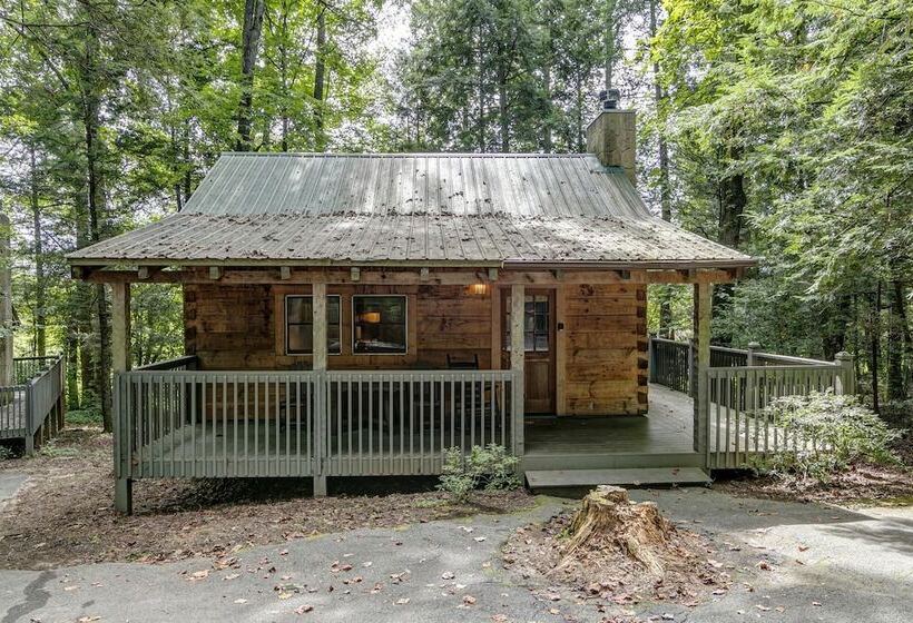 فندق Dancing Bear Lodge