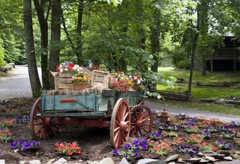 فندق Dancing Bear Lodge