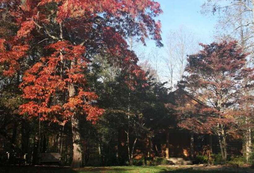 فندق Dancing Bear Lodge