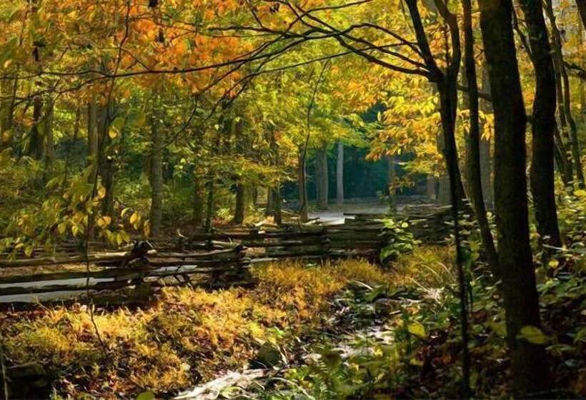 فندق Dancing Bear Lodge