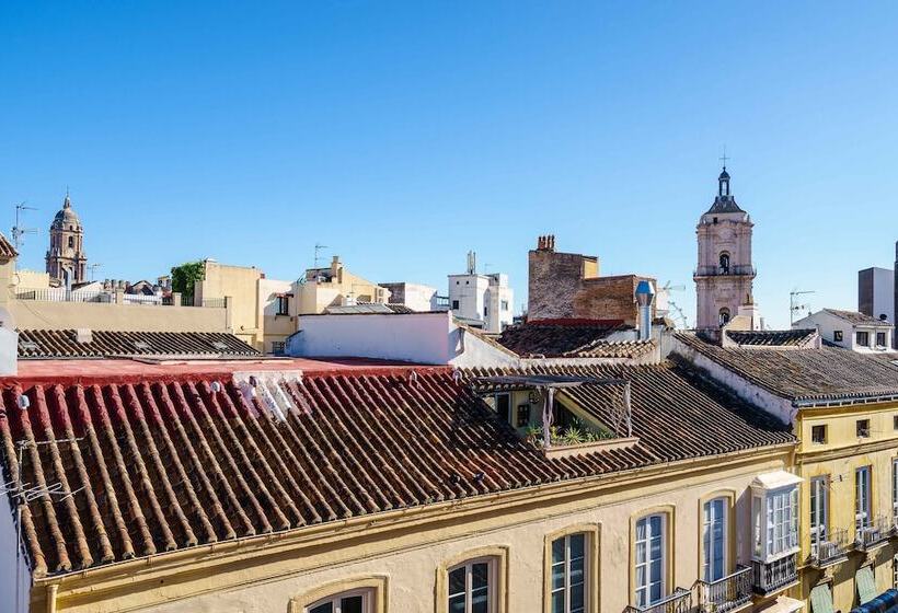 هتل Exe Malaga Museos