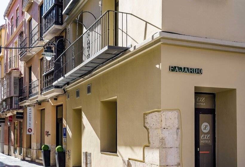 ホテル Exe Malaga Museos
