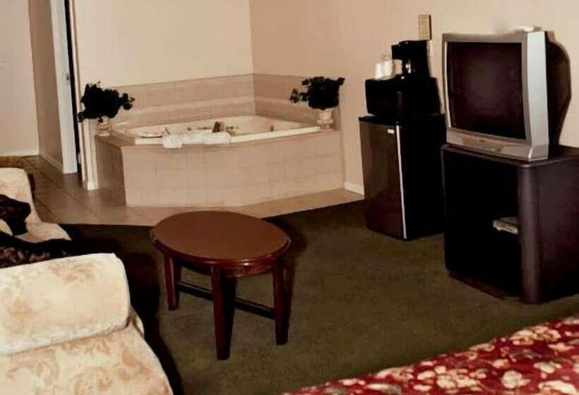 酒店 Colonie Inn And Suites