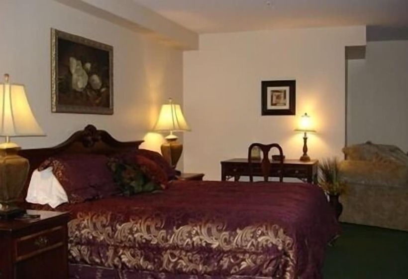 酒店 Colonie Inn And Suites