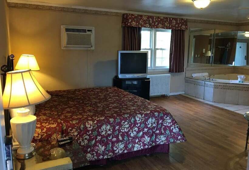 酒店 Colonie Inn And Suites