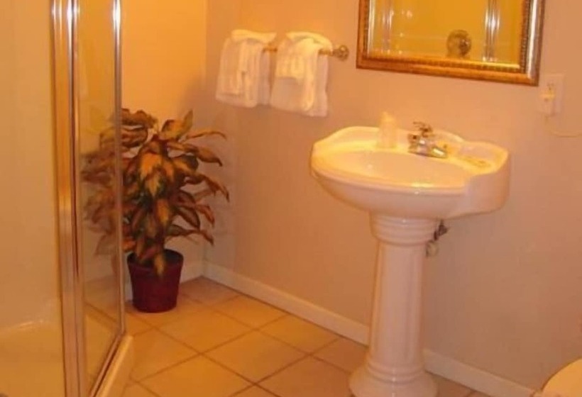 酒店 Colonie Inn And Suites