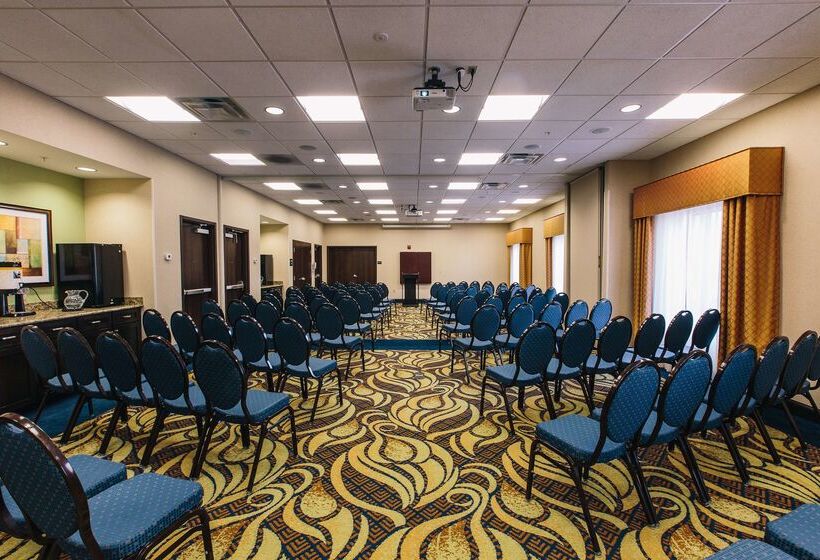 فندق Hampton Inn & Suites Effingham